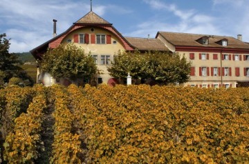 Domaine de Autecour, Mont-sur-Rolle. Photo: Clos, Domaines & Châteaux