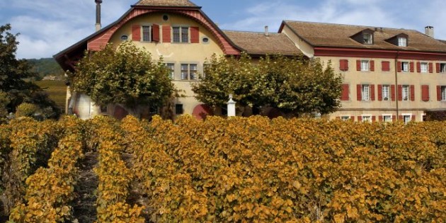 Domaine de Autecour: un grand Chasselas sort de l’ombre