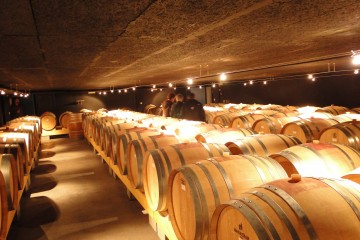 Barriques (Domaine Gillard à Sion)
Photo: Alexandre Truffer