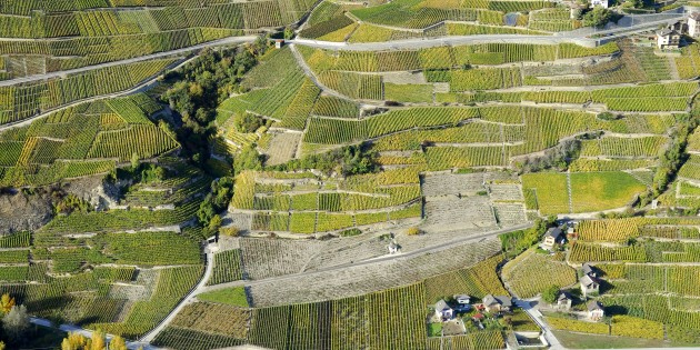 Humagne Blanche et Ermitage, trésors cachés