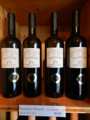 Humagne Blanche Domaine des Muses au Château de Villa
Photo: Alexandre Truffer