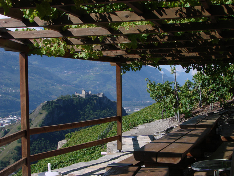 Le vignoble valaisan Photo: Alexandre Truffer