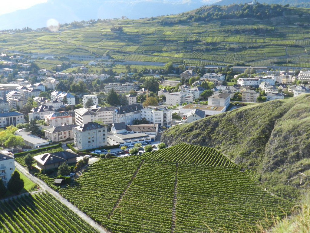 Vignoble de Tourbillon Photo: Alexandre Truffer