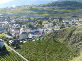 Vignoble de Tourbillon
Photo: Alexandre Truffer