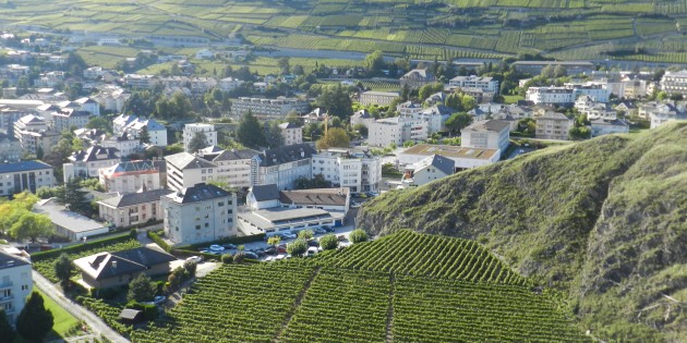 Vignoble valaisan: les défis de demain