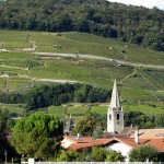 Vignoble de Bex Photo: Rapaz Frères