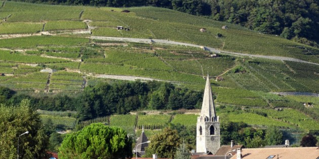 Frères Rapaz: les Bellerins touche-à-tout