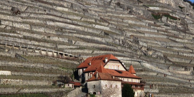 Montheron, Haut-Crêt, Humilimont et Hauterive: les abbayes qui ont forgé le Dézaley