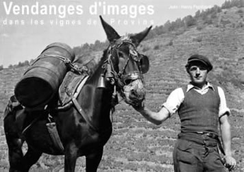 Vendanges d'images dans les vignes de Provin, livre sur le vignoble du Valais édité par la Médiathèque