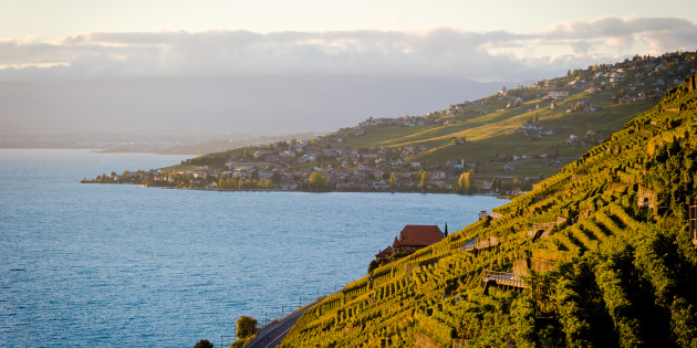 Lavaux finalise sa balade oenotouristique