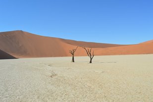 Dunes de Sossusvlei Photo: Virginie Jobé