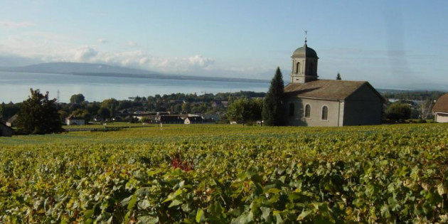 Les Dames de Hautecour