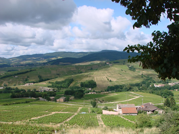 Escapade en Beaujolais