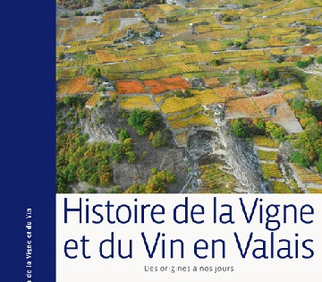 Comment les vignerons d’antan soignaient-ils leurs vins?