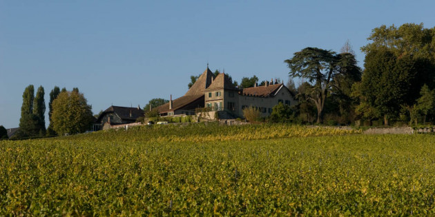 Le château de Denens