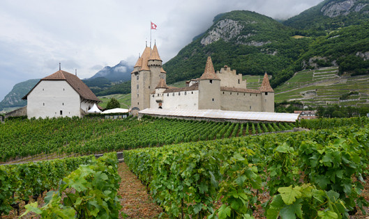 Un Musée de la vigne et du vin tourné vers le XXIème siècle