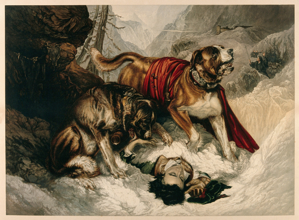 Photo d'une peinture de Sir Edwin Landseer (1820) représentant deux Saint-Bernard sauvant un voyageur