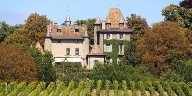 Sur cette pierre, je bâtirai mon vignoble