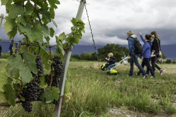 Rallye Gourmand Photo: OPAGE