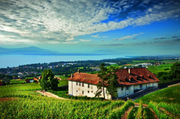 Château de Mont Photo: Château de Mont