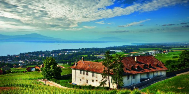 L’histoire du vignoble vaudois au travers de ses Premiers Grands Crus (épisode 3: la Suisse moderne)