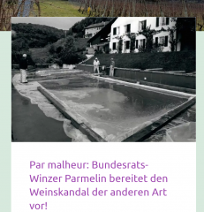 Capture d'écran du blog Viktor's Weinblog